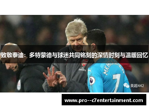 致敬泰迪：多特蒙德与球迷共同铭刻的深情时刻与温暖回忆