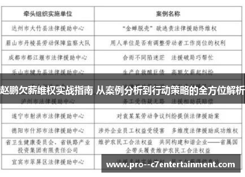 赵鹏欠薪维权实战指南 从案例分析到行动策略的全方位解析