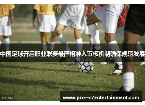 中国足球开启职业联赛最严格准入审核机制确保规范发展