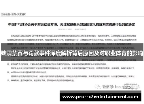 魏震禁赛与罚款事件深度解析背后原因及对职业体育的影响 魏震禁赛与罚款事件深度解析背后原因及对职业体育的影响